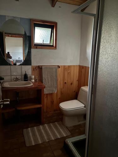 a bathroom with a toilet and a sink and a mirror at Cabaña Refugio Rustica in Pucón