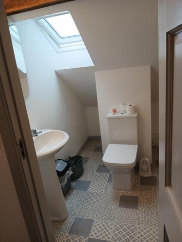 a bathroom with a toilet and a sink with a skylight at Roshinehill apartment in Shanbally
