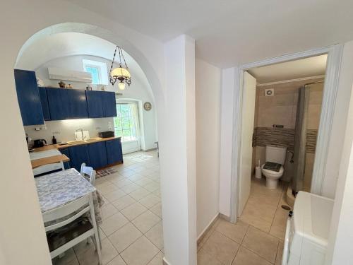 eine Küche mit Spüle und Toilette in einem Zimmer in der Unterkunft Volta Stonehouse Apartments in Frátsia