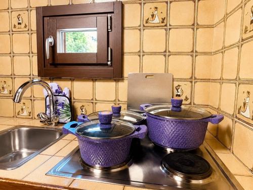 two purple pots and pans sitting on a stove in a kitchen at Bijou Alpina Surlej in Silvaplana