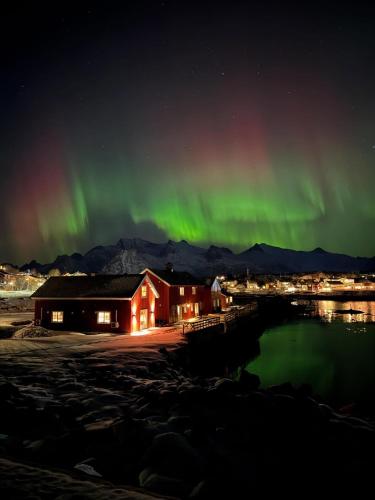 an image of the aurora dancing in the sky at Astra Village - Waterfront Rorbu Cabins in Lofoten in Kabelvåg