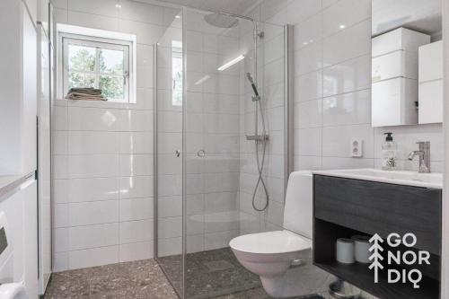 a bathroom with a shower and a toilet and a sink at Bluebirch Cabin in Tällberg
