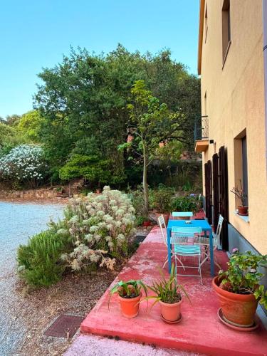 a patio with a blue table and some plants at La Manna di Zabbra in Pollina