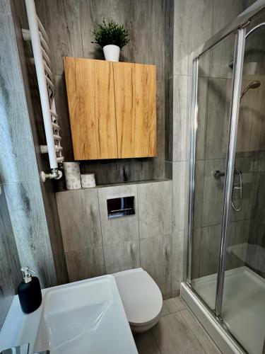 a bathroom with a white toilet and a shower at Sea Power Studio Loft in Jastrzębia Góra
