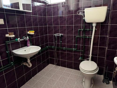 a bathroom with a toilet and a sink at Vila Vienna in Donji Štoj