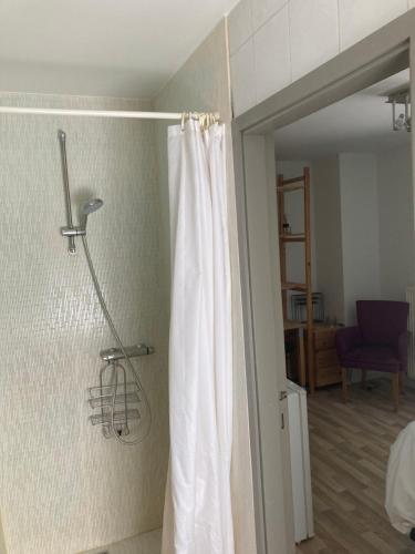 a bathroom with a shower with a shower curtain at Magnolia in Wuustwezel