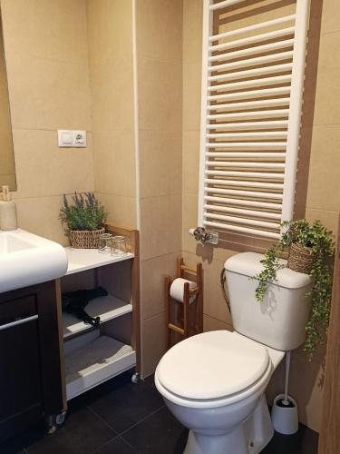 a bathroom with a toilet and a sink at Apartamento boutique in Talarn