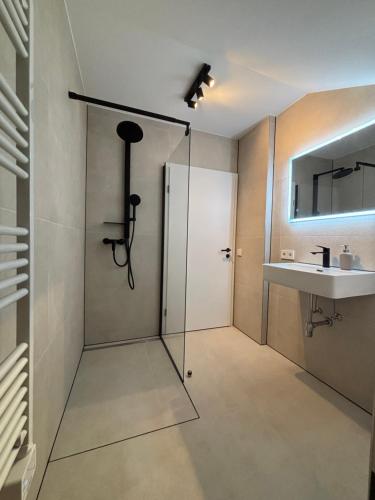 a bathroom with a shower and a sink at AG Apartments Waiblingen in Waldmühle