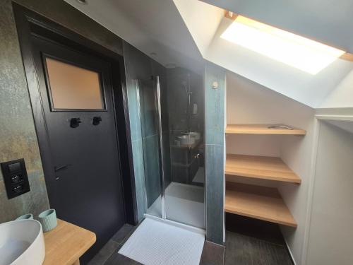 a bathroom with a glass shower and a sink at Le Petit Marcheloup in Paliseul