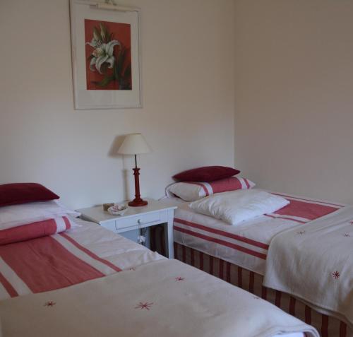 a room with two beds and a table with a lamp at Gîte La Bertichère in Saint-Jean-le-Thomas