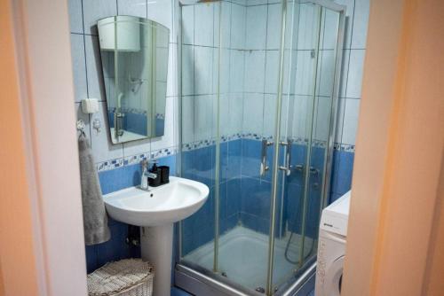 a bathroom with a sink and a glass shower at VukaNest apartman Jagodina in Jagodina
