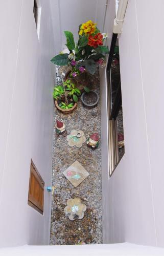a view of a hallway with flowers and plants at Ming Shou Boutique House in Phuket Town