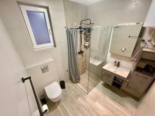 a bathroom with a shower and a toilet and a sink at Porto Vista Apartments Kumbor in Kumbor