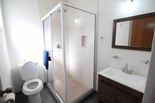 a bathroom with a shower and a toilet and a sink at Departamento ‘El Chulo’ en Palapa Ochoa in Loreto