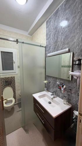 a bathroom with a sink and a toilet and a mirror at Nouira Haus in Akouda