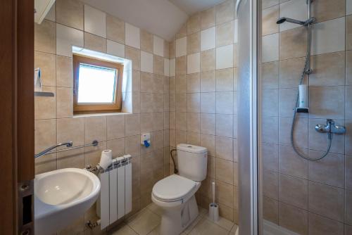 a bathroom with a toilet and a sink and a shower at Penzion Eso in Martin