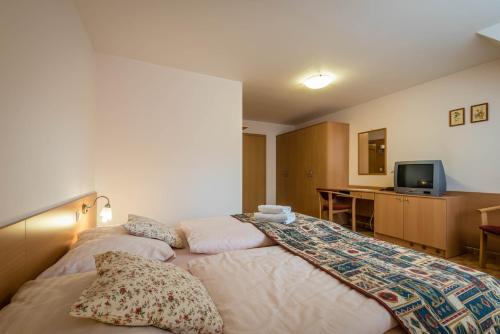 a hotel room with two beds and a television at Penzion Eso in Martin