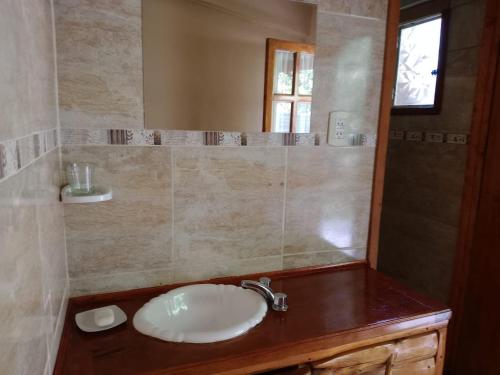 a bathroom with a sink and a mirror at La cabaña de ines in El Bolsón