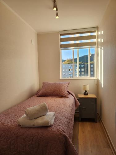 a bedroom with a bed and a window at Departamento full equipado in Temuco