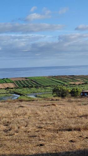 a field of grass with a house in the distance at Villa Basmat in Oualidia