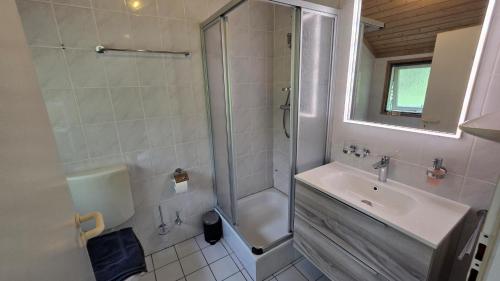 a bathroom with a shower and a sink and a toilet at Ferienhaus-Bambi in Haren