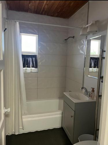 a bathroom with a tub and a sink and a shower at West Mitchell in Phoenix