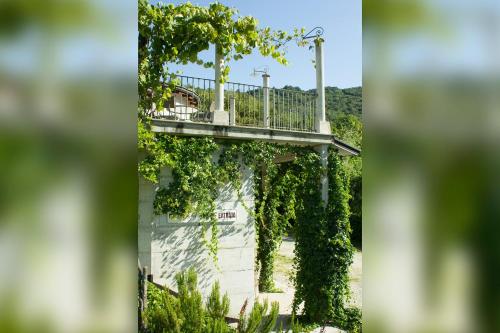 a walkway covered in ivy at a winery at Turistična kmetija Štanfel in Podsabotin