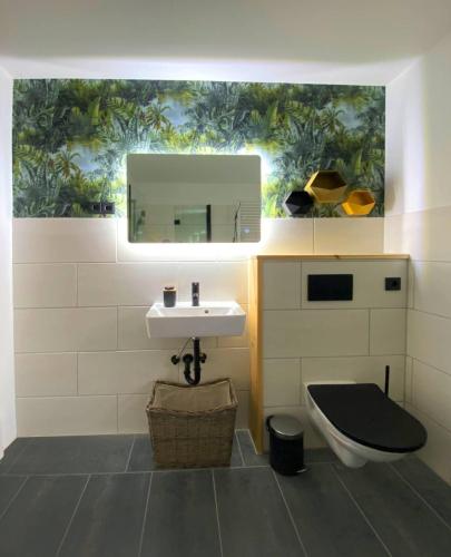 a bathroom with a sink and a toilet and a mirror at AHOI-MARIE in Blekendorf