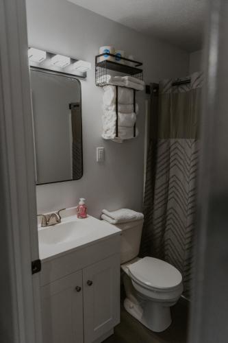 a bathroom with a sink and a toilet and a mirror at The Last Resort in Sault Ste. Marie