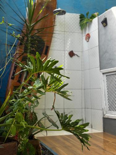 a bathroom with a shower with plants in it at Luah Buziana in Búzios