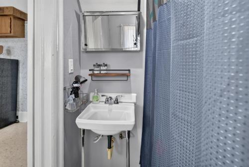 a bathroom with a sink and a shower at Charming 2-Bedroom, 1-Bath Getaway in Carbondale
