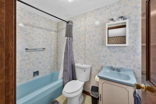 a bathroom with a toilet and a sink and a tub at 1-Bedroom, 1-Bath Getaway in Carbondale