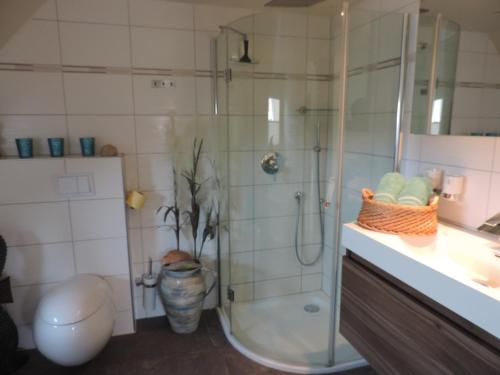 ein Bad mit einer Dusche, einem WC und einem Waschbecken in der Unterkunft Maisonette zum Weststrand in Prerow