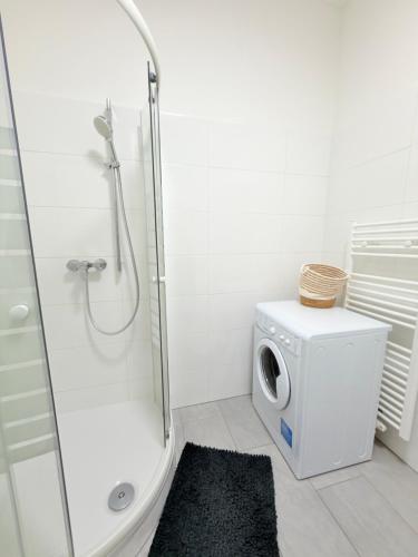 Elegant apartment I MZ17B