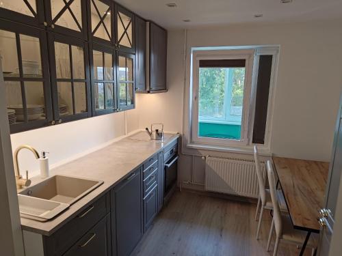 a kitchen with a sink and a window at Mirdzas Ķempes iela 14 in Liepāja