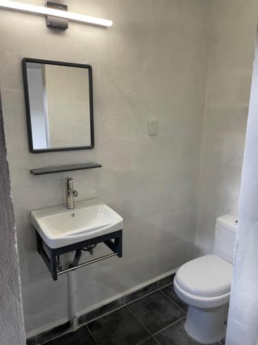 a bathroom with a sink and a toilet and a mirror at Arca de Noé in Xaltepec