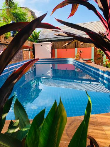 a blue swimming pool with a plant in the foreground at Phum Angkor in Siem Reap