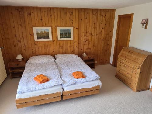 Alpine Family Duplex with amazing terrace