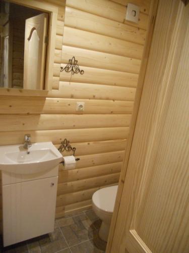a bathroom with a toilet and a sink at Viesu māja Forrest in Dzimtmisa