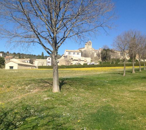 a tree in a field with buildings in the background at L'Ostal du Pic St Loup in Saint-Jean-de-Cuculles