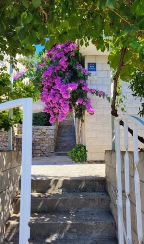 a bunch of purple flowers hanging from a tree at Apartman Arijeta Korčula in Smokvica