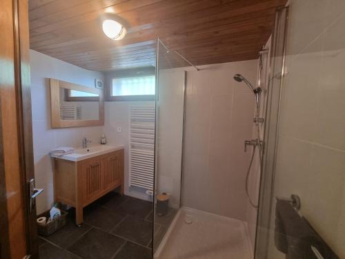 a bathroom with a shower and a sink and a shower at Comfortable Chalet with spectacular mountain views in Verchaix