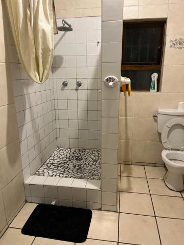 a bathroom with a shower with a toilet at Willow whispers in Gqeberha