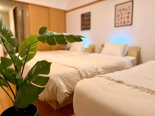 a hotel room with two beds and a plant at ura 東横のヨコ405 in Okayama