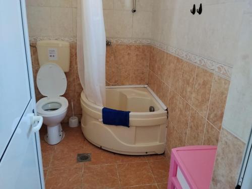 a bathroom with a toilet and a bath tub at Apartmani Dević Šušanj in Bar