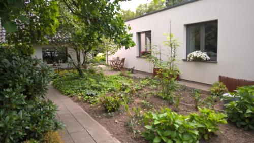 un jardín delante de una casa en B&B Rosteline, en Hamont