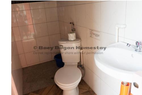 a bathroom with a toilet and a sink at Baey Bōgan Homestay in Sagada