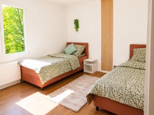 a bedroom with two beds and a window at Haus Martha in Hörbranz