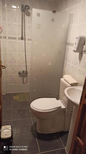 a bathroom with a toilet and a shower and a sink at Garden-view suite room in Ortaca