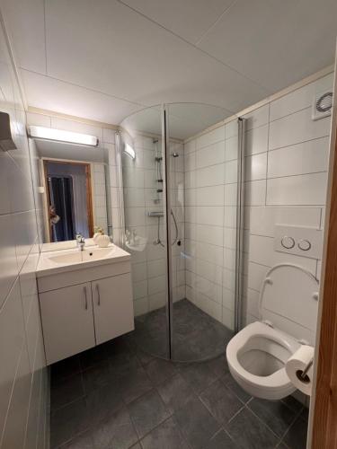 a bathroom with a shower and a toilet and a sink at Sweet home in Kristiansund